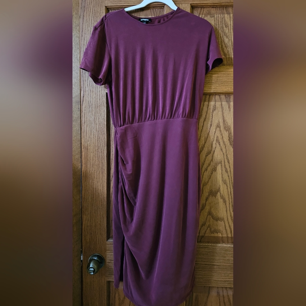 Express silky sueded dress